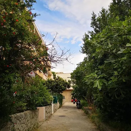 Hidden Oasis Luxury
